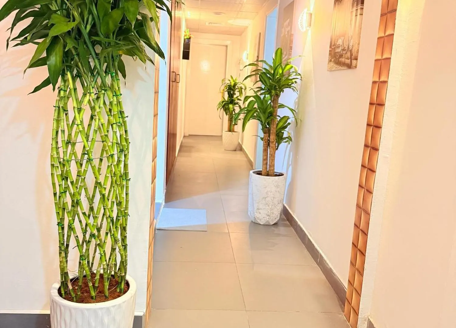 Orchid International Hotel Abu Dhabi Guest house